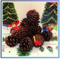 Phụ kiện vật liệu trang trí